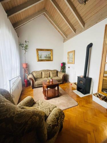 a living room with a couch and a wood stove at GreenPark Garden Villa Family Apartments Near Tokaj in Szerencs