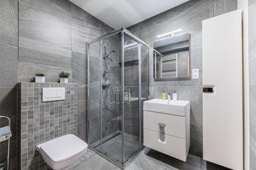 タトランスカ・ロムニツァにあるZlatý Apartmán, Granit 106のシャワー、トイレ、洗面台を備えたバスルーム