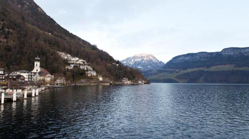 a view of a lake with a town and mountains at Seehotel Schwert in Gersau