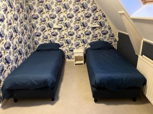 two beds in a small room with blue walls at Vakantiehuis Doelestee in Balk
