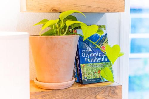 a plant in a pot sitting on a shelf at Rainforest Tiny Home Retreat 27 in Forks