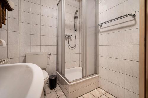 a bathroom with a shower and a toilet and a sink at Kolbatzer Mühle in Lychen