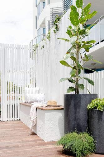 a plant in a pot next to a white fence at The Lookout in Bargara