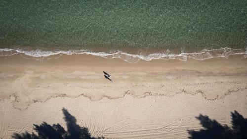 an aerial view of a beach with a plane flying over it at Mitsis Alexander the Great Hotel in Kriopigi