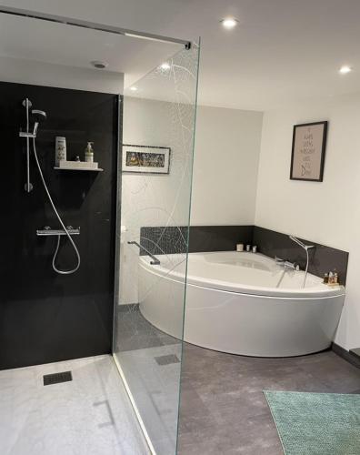 La salle de bains est pourvue d'une baignoire, d'une douche et d'une baignoire. dans l'établissement Séjour Raffiné et Confortable à Magnac Bourg, à Magnac-Bourg