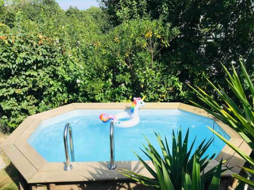 Photo de la galerie de l'établissement Maison avec jardin et piscine, à Arbonne