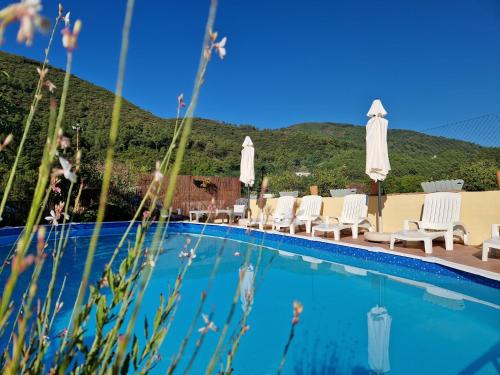 une piscine dans un complexe hôtelier avec chaises et parasols dans l'établissement Le Mas Joyeux - Le Lys - Gite En Cévennes, à Saint-Florent-sur-Auzonnet