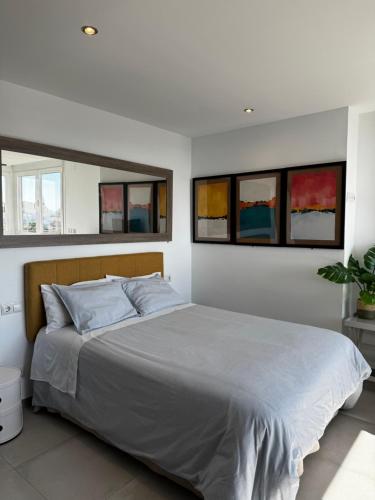 Allegra Suite