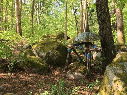 別荘の近くで見られる自然の景観
