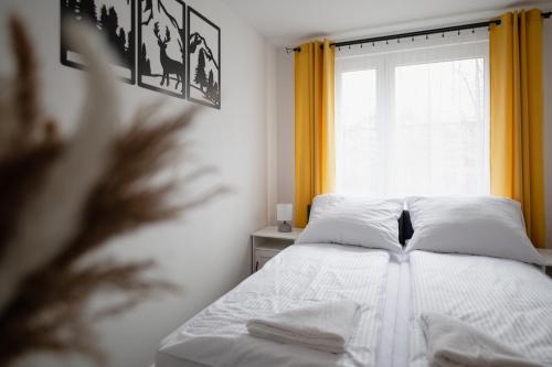 Apartament Zakopane Apart Centrum 338