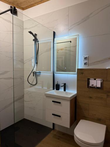 a bathroom with a shower and a toilet and a sink at Czarna Willa in Zakopane