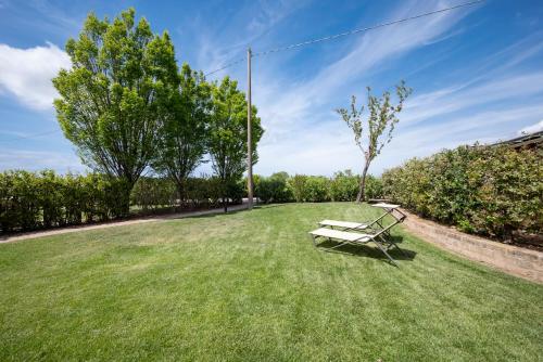 a bench sitting in the middle of a grass field at Podere Vignanova Accommodations & SPA in Castagneto Carducci