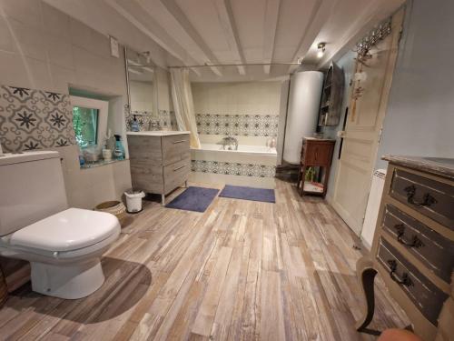 a bathroom with a toilet and a bath tub at La forge des vignes in Menetou-Râtel