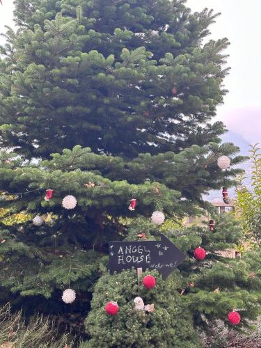 a christmas tree with a sign in front of it at Angel House Greystone Villa Polydrossos in Polydrossos