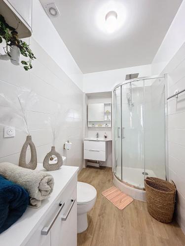une salle de bain blanche avec douche et toilettes dans l'établissement Le petit Vendangeoir, à Épernay