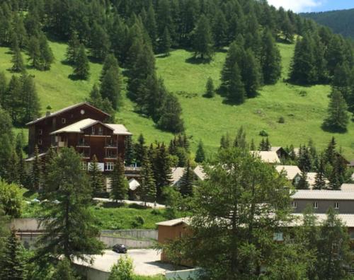 une maison au milieu d'une colline arborée dans l'établissement Studio Val d'allos Mercantour, à Allos