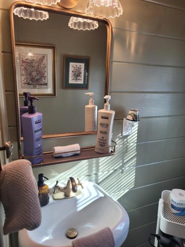 a bathroom with a sink and a mirror at The Higgins Lake Hideaway - Super Cute! in Roscommon