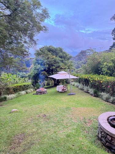 a table and an umbrella in a yard at Hotel Finca Lerida Coffee Plantation and Boutique Hotel in Boquete