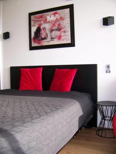 - une chambre avec un lit doté d'oreillers rouges et d'une photo dans l'établissement Naturiste Cap d'Agde Héliopolis E 100, au Cap d'Agde