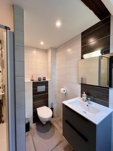 une salle de bain avec toilettes et lavabo dans l'établissement Gîte du Figuier 4 à 6 personnes Sélestat Centre-Alsace, à Sélestat