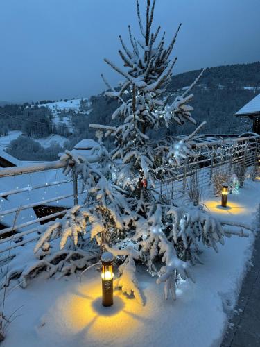 a snow covered tree with lights on a balcony at Les Kotas du bonheur in Soultzeren