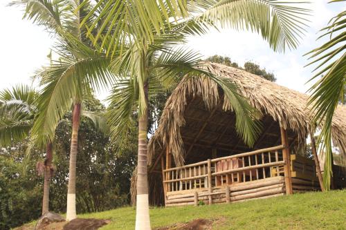 a palm tree in front of a wooden hut at San Julio Campestre in Borrero Ayerbe