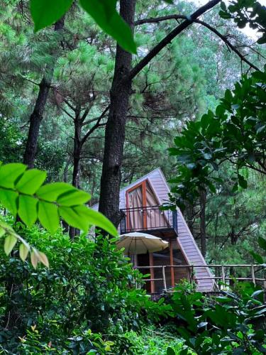 a tree house in the middle of a forest at Rubik House in Sóc Sơn