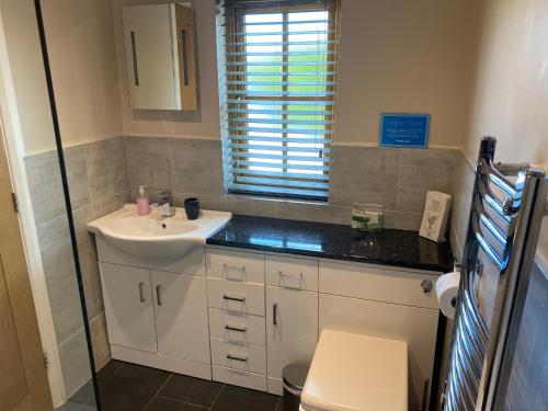 a bathroom with a sink and a toilet at The Horseshoe Cottage in Alkham
