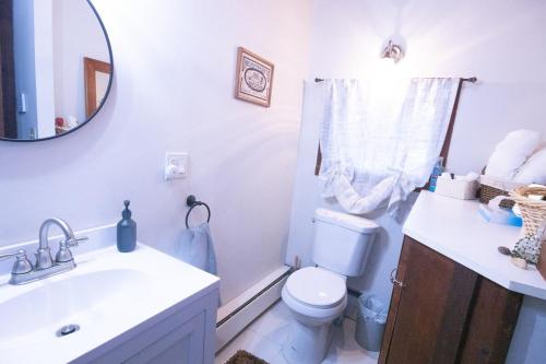 a bathroom with a toilet and a sink and a mirror at Rustic Retreat Fireplace, Casino, Camelback Close to everything! in Mount Pocono