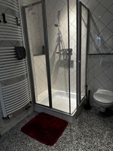 y baño con ducha, aseo y alfombra roja. en Ferienhaus Willenborg, en Molbergen