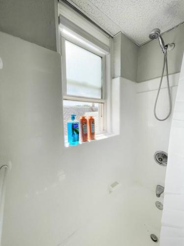 a bathroom with a shower and a window at Chateau Blanc Yale Located Downtown in New Haven