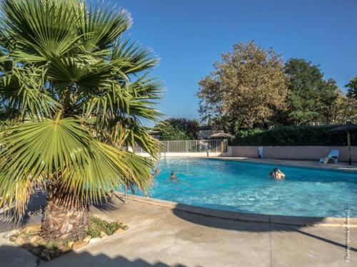 un palmier et des gens dans une piscine dans l'établissement camping le clos fleuri, à Vic-la-Gardiole
