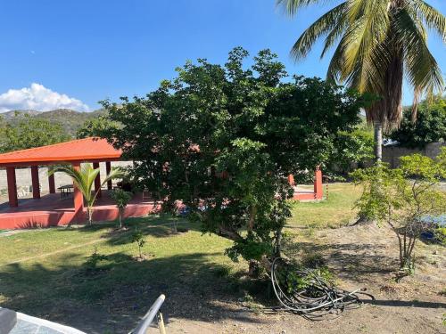 a tree in a yard next to a building at Villa Rosa Bella Perfect for families or groups in Palmar de Ocoa