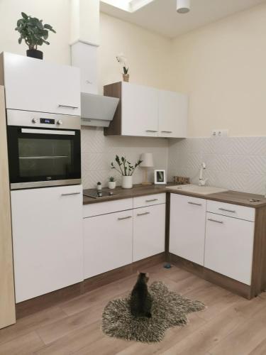 Luxury Studio Apartment