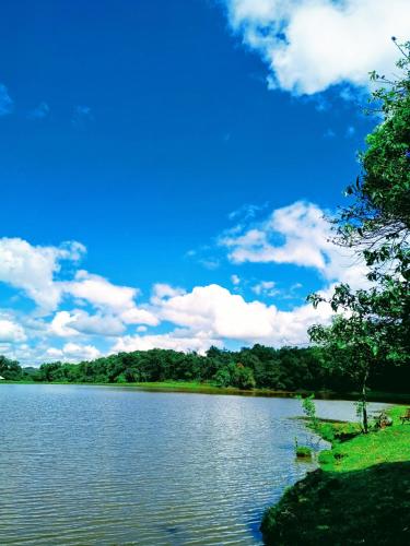 a lake with trees and a blue sky with clouds at Cabana Água - Cabanas Recanto do Lago in Nova Petrópolis