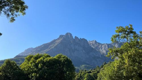 a mountain in the distance with trees in the foreground at Las Casucas de Remoña in Espinama