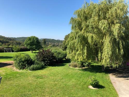a weeping willow tree in a grassy yard at Le Vél'Eau d'Heure in Beaumont
