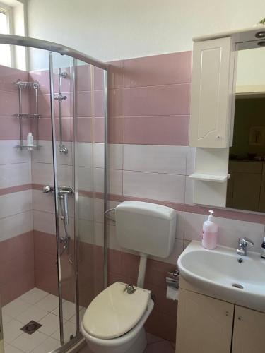 a bathroom with a toilet and a shower and a sink at Luxury House in Shkodër