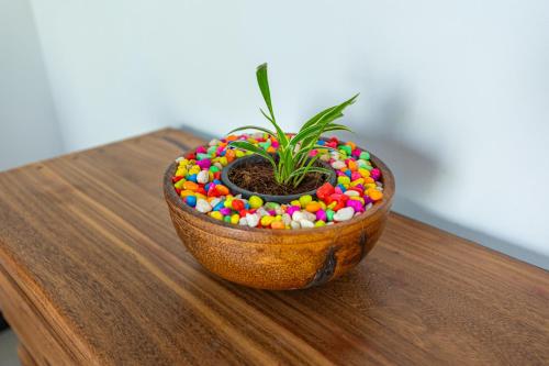 a wooden bowl filled with colorful sprinkles on a table at Home stay with nuwan in Bentota