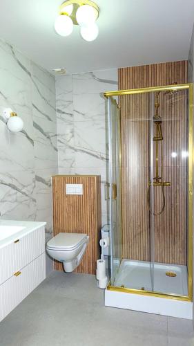 a bathroom with a shower and a toilet and a sink at Przy Teatrze by LibertaRent in Wałbrzych