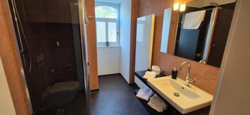 a bathroom with a sink and a shower and a mirror at Schlosshotel Hohenbocka in Hohenbocka