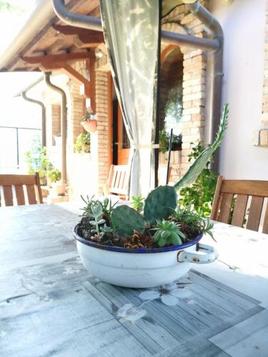 a potted plant sitting on a table on a porch at La Casina del Delta del Po in Porto Viro
