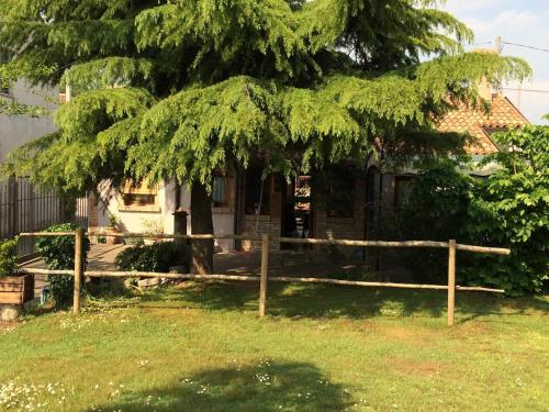 a house with a large tree in front of it at La Casina del Delta del Po in Porto Viro