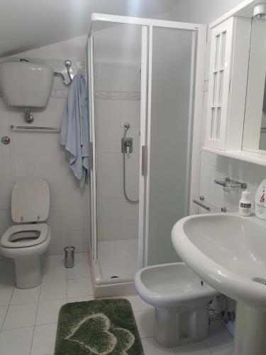 a bathroom with a shower and a toilet and a sink at Artemide Residence Acquaviva in Acquaviva dʼIsernia
