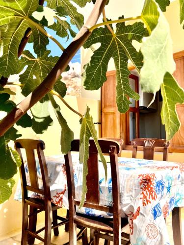Fotografie z fotogalerie ubytování Symi Roots House v destinaci Symi