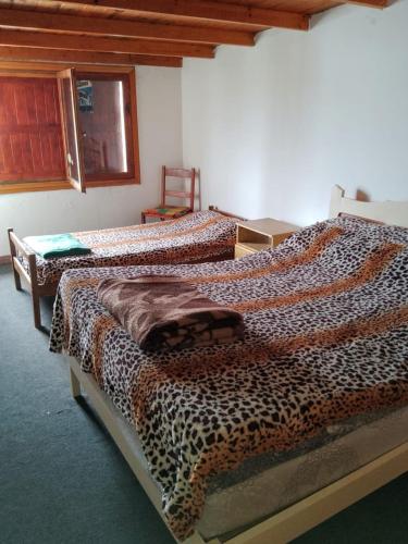 two beds in a room with leopard print at Casa en la costa in Necochea