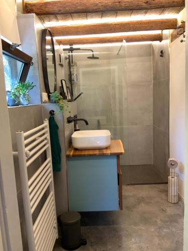a bathroom with a sink and a shower at Historische Breidenmühle in Haan