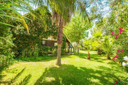 Chalet with pool, Wifi and Smart TV