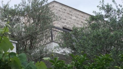 Un jardín fuera de Apartments Minja Nerin
