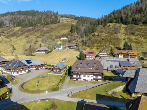 an aerial view of a village with houses on a hill at Galeriewohnung in Menzenschwand in Menzenschwand-Hinterdorf